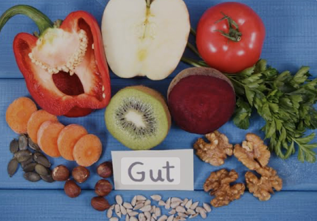 Gut Hastalığı ve Beslenme